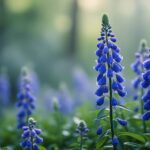découvrez l'efficacité homéopathique de l'aconitum napellus pour soulager l'angoisse. avis, bienfaits et recommandations d'utilisation.